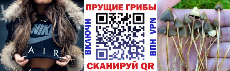 Купить закладки  Тетюши  Псилоцибиновые грибы прущие грибы 